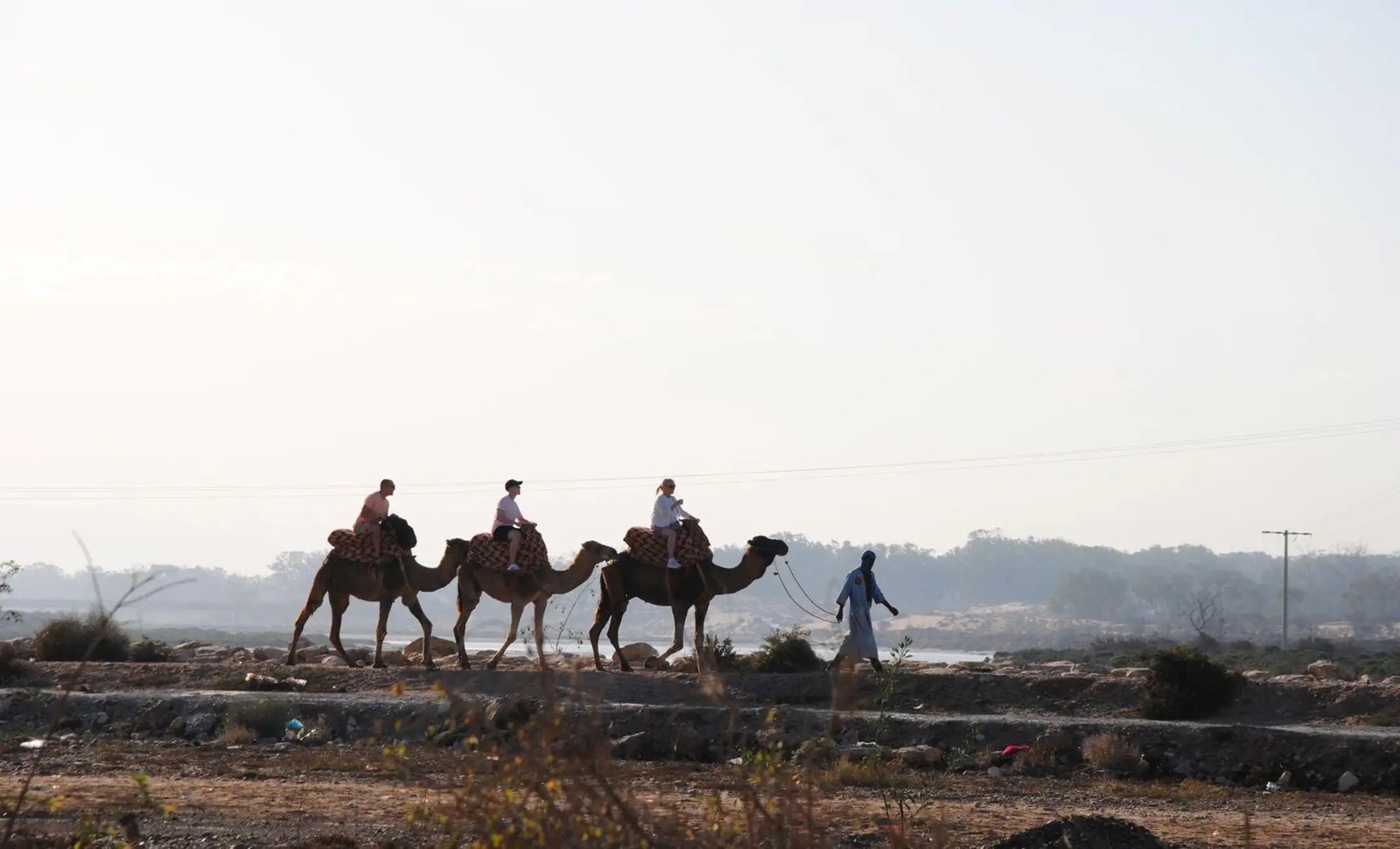 6e56f28add6406582d5511a9c67deebab494188b942a7d78e8ad3aa101c6d573